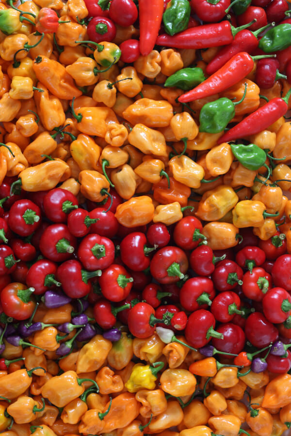 Peppers Mixed (1)